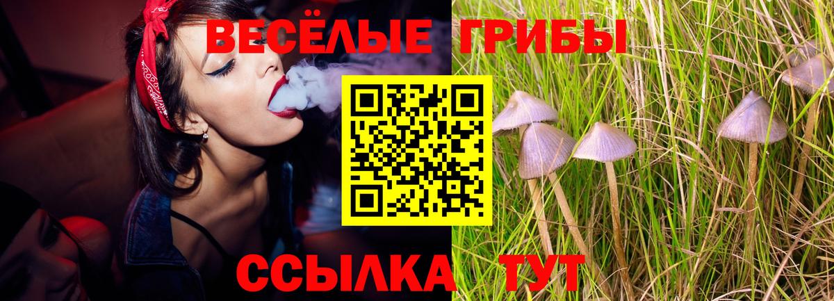 Галлюциногенные грибы Cubensis  цена наркотик  Старая Купавна  Вход с VPN  Галлюциногенные грибы Cubensis 